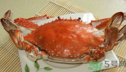 河蟹和海蟹有什么區(qū)別？河蟹和海蟹哪個(gè)好吃？