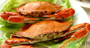 河蟹和海蟹有什么區(qū)別？河蟹和海蟹哪個(gè)好吃？