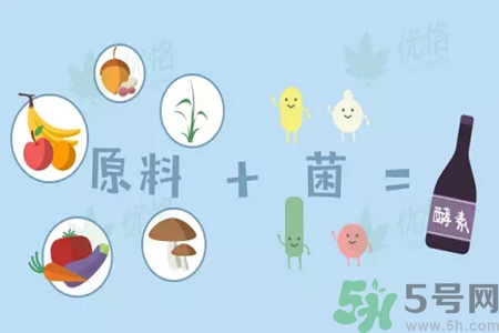 酵素是什么？吃酵素減肥有效果嗎？