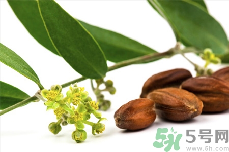 荷荷巴油可以直接擦臉嗎？荷荷巴油怎么去黑頭？