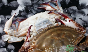 梭子蟹怎么挑選？梭子蟹挑選圖解