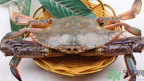 梭子蟹怎么挑選？梭子蟹挑選圖解