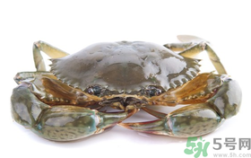 梭子蟹能冷凍嗎？梭子蟹如何冷凍保存？