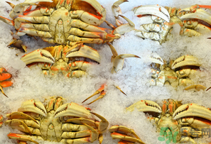 冷凍的梭子蟹能吃嗎？冷凍的梭子蟹怎么吃比較好？