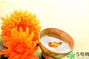 重陽(yáng)節(jié)吃什么？重陽(yáng)節(jié)吃什么喝什么？