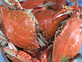 梭子蟹是發(fā)物嗎？梭子蟹是不是發(fā)物？