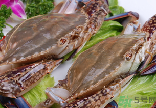 梭子蟹是發(fā)物嗎？梭子蟹是不是發(fā)物？