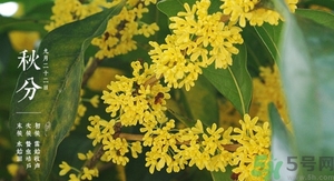 秋分有什么含義?秋分能結(jié)婚嗎? 秋分有什么含義?秋分能結(jié)婚嗎?