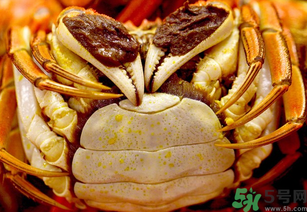 河蟹死了一天能吃嗎？河蟹死了多久不能吃？