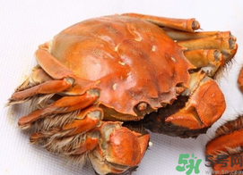 河蟹死了一天能吃嗎？河蟹死了多久不能吃？