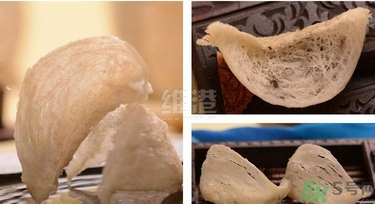 去香港買燕窩哪里好？香港哪里買燕窩比較好正宗？