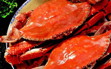 梭子蟹貴還是大閘蟹貴 梭子蟹和大閘蟹哪個好