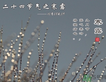 寒露是什么意思？寒露是幾月幾日
