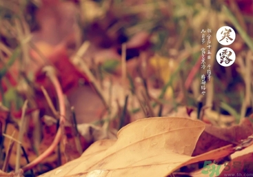 寒露是什么意思？寒露是幾月幾日