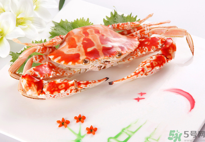 梭子蟹和花蟹的區(qū)別？梭子蟹和花蟹哪個(gè)好吃？