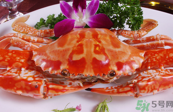 梭子蟹和花蟹的區(qū)別？梭子蟹和花蟹哪個(gè)好吃？