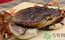 孕婦能吃三門青蟹嗎?孕婦可以吃青蟹嗎? 孕婦能吃三門青蟹嗎?孕婦可以吃青蟹嗎?