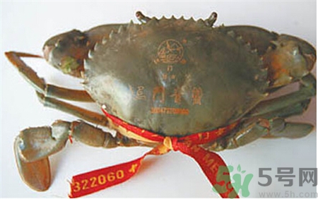 孕婦能吃三門青蟹嗎?孕婦可以吃青蟹嗎? 孕婦能吃三門青蟹嗎?孕婦可以吃青蟹嗎?