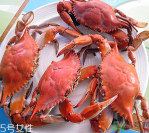 梭子蟹和飛蟹的區(qū)別？飛蟹是梭子蟹嗎？