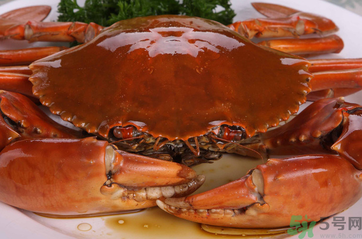 梭子蟹和青蟹哪個好吃？青蟹和梭子蟹的區(qū)別