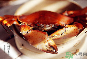 梭子蟹和青蟹哪個好吃？青蟹和梭子蟹的區(qū)別