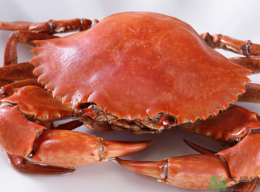 梭子蟹和青蟹哪個好吃？青蟹和梭子蟹的區(qū)別