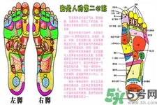 孕婦可以用生姜泡腳嗎？生姜泡腳的方法是什么？