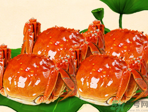 梭子蟹和大閘蟹的區(qū)別？梭子蟹和大閘蟹哪個好？