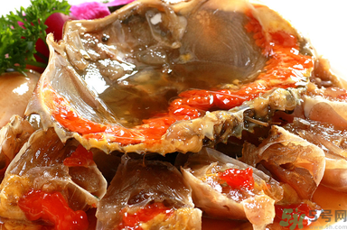 膏蟹是河蟹還是海蟹？膏蟹是什么蟹？