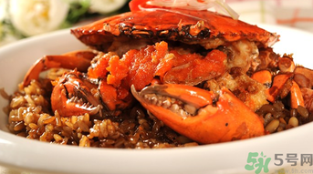 膏蟹是河蟹還是海蟹？膏蟹是什么蟹？