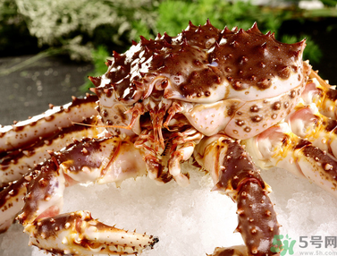 帝王蟹多少錢一斤？帝王蟹多少錢一只？