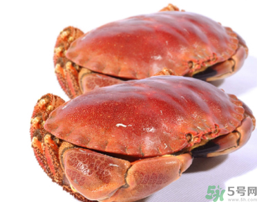 面包蟹多少錢一斤？面包蟹多少錢一只？