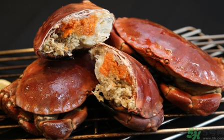 面包蟹多少錢一斤？面包蟹多少錢一只？