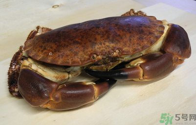 面包蟹多少錢一斤？面包蟹多少錢一只？