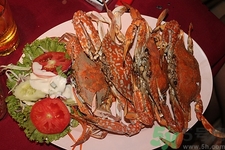 青蟹可以放冰箱嗎?青蟹放冰箱會(huì)不會(huì)死 青蟹可以放冰箱嗎?青蟹放冰箱會(huì)不會(huì)死