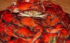 青蟹可以放冰箱嗎?青蟹放冰箱會(huì)不會(huì)死 青蟹可以放冰箱嗎?青蟹放冰箱會(huì)不會(huì)死