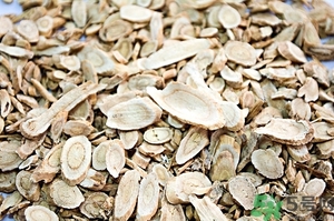 西洋參的功效與作用 西洋參有什么功效和作用 西洋參的功效與作用 西洋參有什么功效和作用