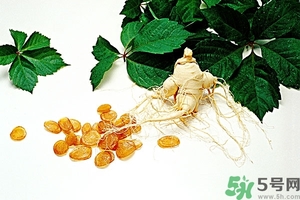 西洋參的功效與作用 西洋參有什么功效和作用 西洋參的功效與作用 西洋參有什么功效和作用