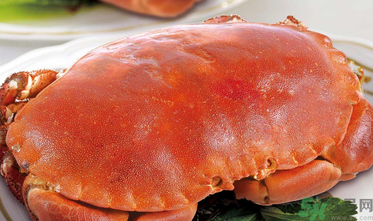 面包蟹死了還能吃嗎？面包蟹死了多久還能吃？