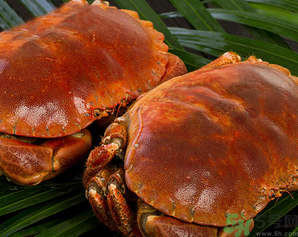 面包蟹死了還能吃嗎？面包蟹死了多久還能吃？