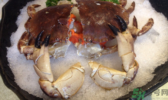 面包蟹怎么吃？面包蟹的吃法詳解