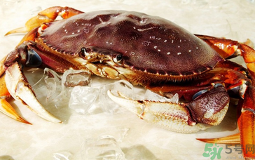 珍寶蟹多少錢一斤？珍寶蟹多少錢？