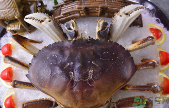 珍寶蟹多少錢一斤？珍寶蟹多少錢？