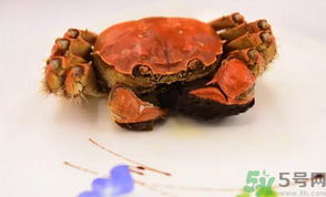 珍寶蟹和面包蟹的區(qū)別？珍寶蟹和面包蟹哪個(gè)好吃？