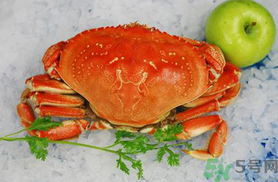 珍寶蟹和面包蟹的區(qū)別？珍寶蟹和面包蟹哪個(gè)好吃？
