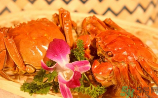 大閘蟹死了放冰箱還能吃嗎？大閘蟹速凍后還能吃嗎？