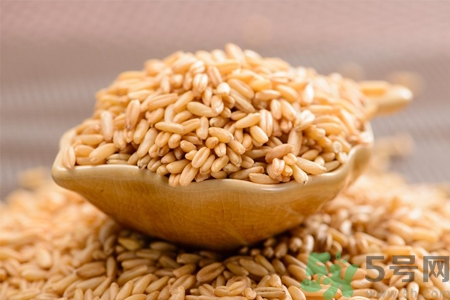 麥芽可退奶還是發(fā)奶？麥芽的功效與作用