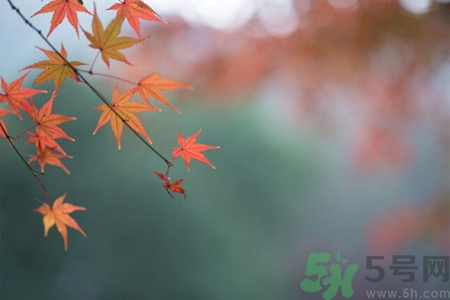 秋燥皮膚癢吃什么好？秋燥4妙招保護皮膚