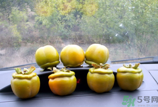 生柿子有毒嗎？生柿子吃了會怎樣？