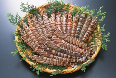 海蝦煮多長(zhǎng)時(shí)間熟？海蝦怎么煮？